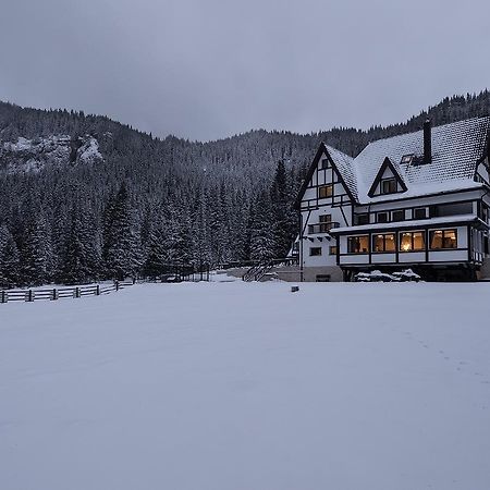 Chalet Alpina 莫罗埃尼 外观 照片